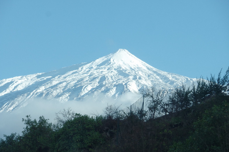 Los Realejos, Mount Teide