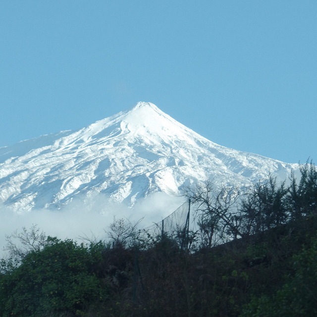 Los Realejos, Mount Teide