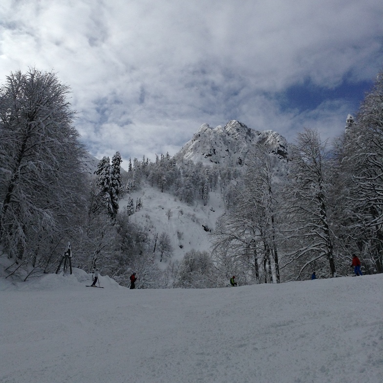 Gorisont, Rosa Khutor