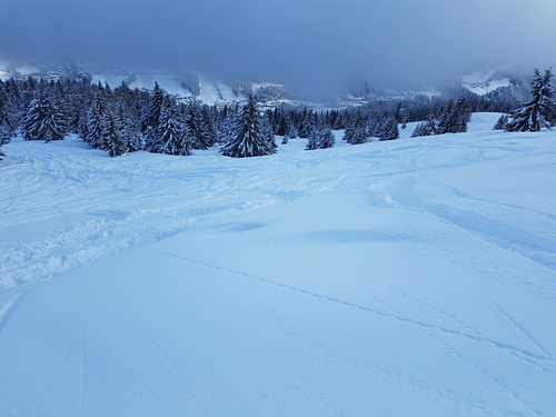 Les Gets Ski Resort by: peter lewis