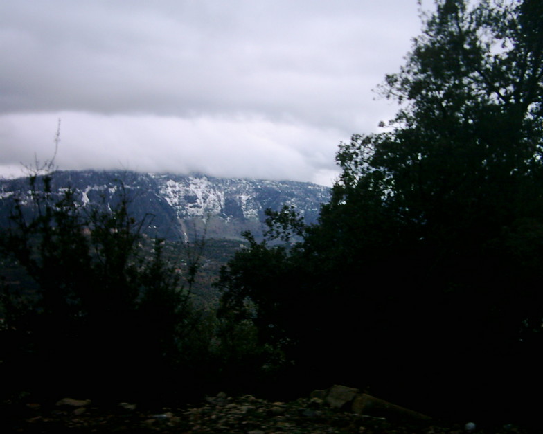 Laqlouq mountains in the horizon