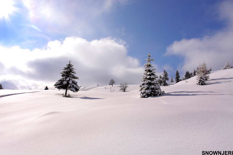 Bogë Ski Center snow