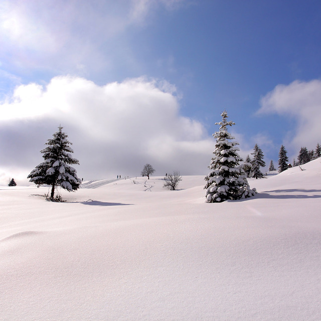 Pure Boge, Bogë Ski Center