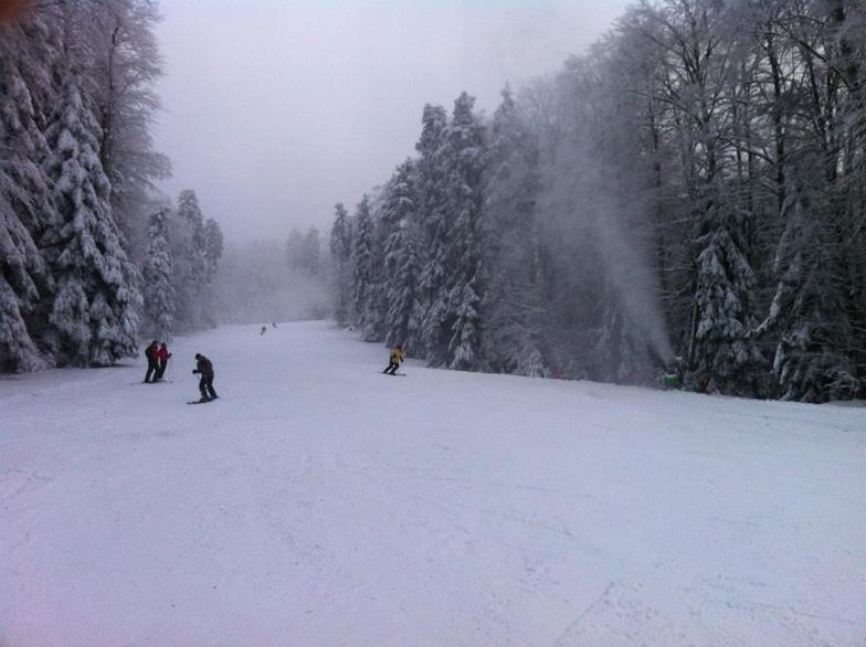 Snowy day, Kozara