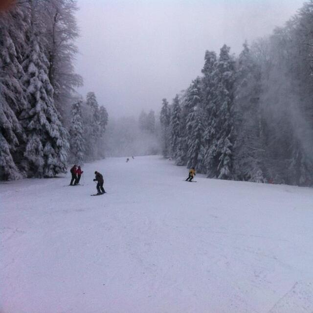 Snowy day, Kozara