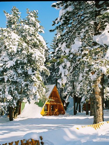 Zima Nacionalni Park, Kozara