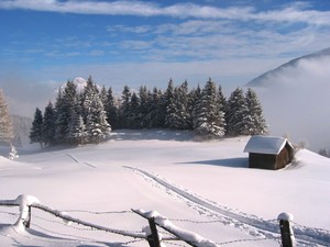 wenns im pitztal, Pitztal Glacier photo