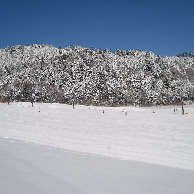 Sent to our help desk, by a user, in 2010., Ontake Ropeway