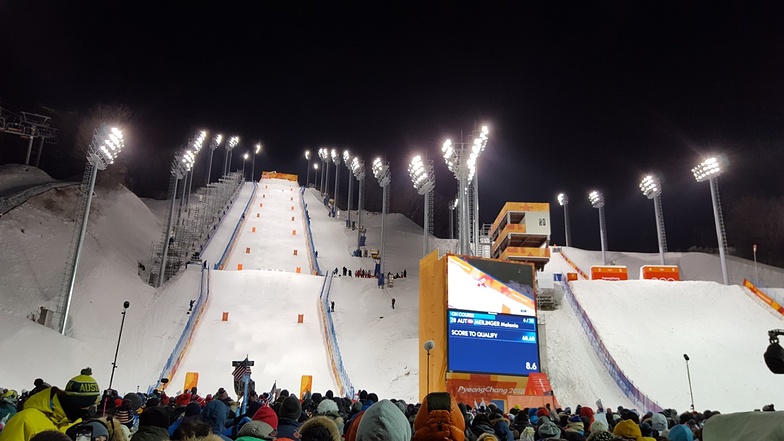 PyeongChang-Bokwang Phoenix Park snow