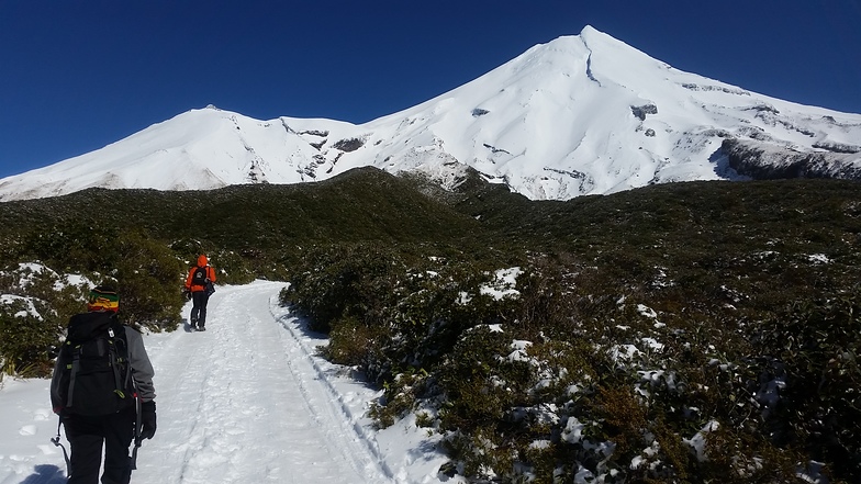 Access track to Manganui