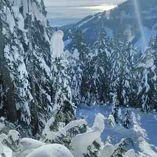 cypress mountain snow forecast