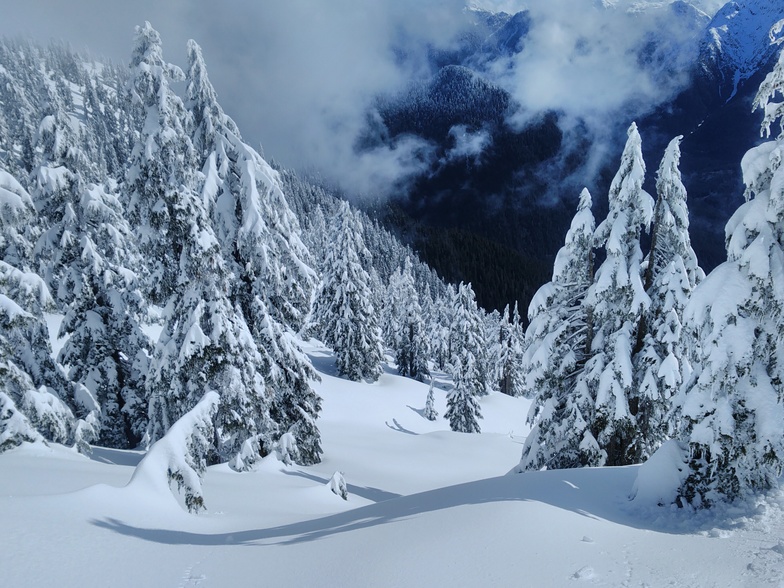 Out of boundaries, Cypress Mountain