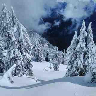 cypress mountain snow forecast