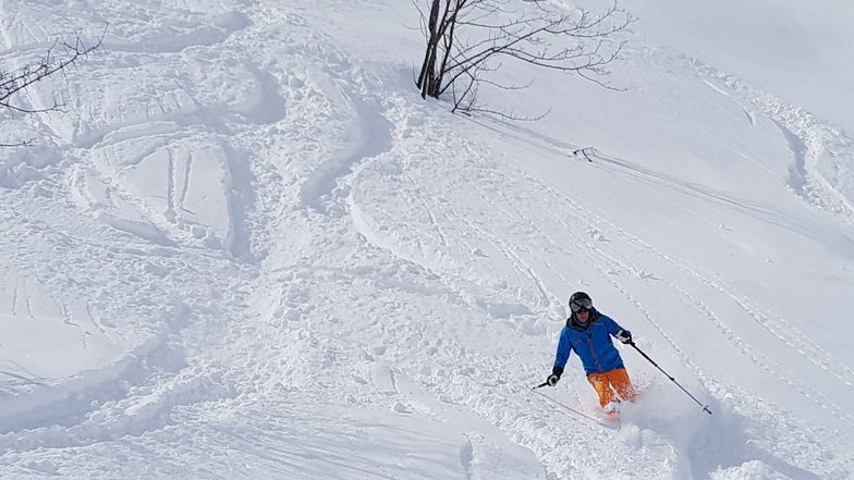 Snow, Villars