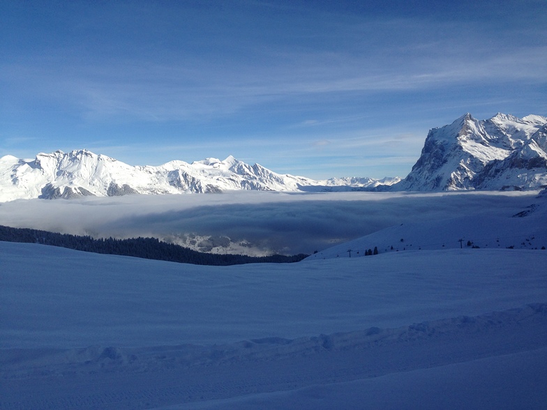 Grindelwald