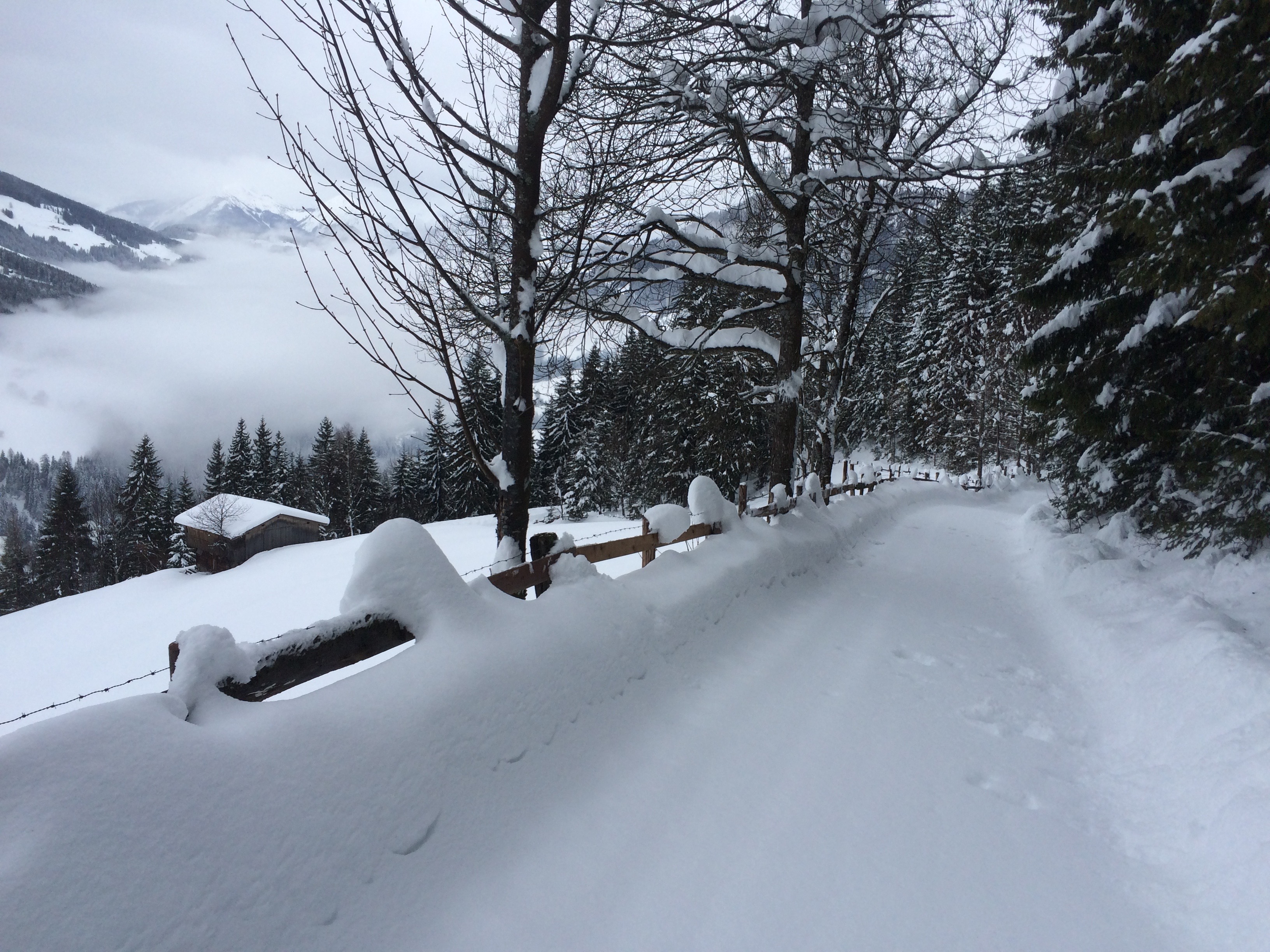 A quiet path, Alpbachtal