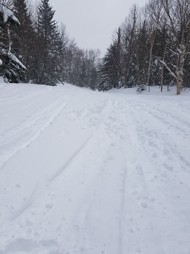 Mad River Glen Ski Resort by: William Tarkulich