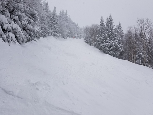 Mad River Glen Ski Resort by: William Tarkulich