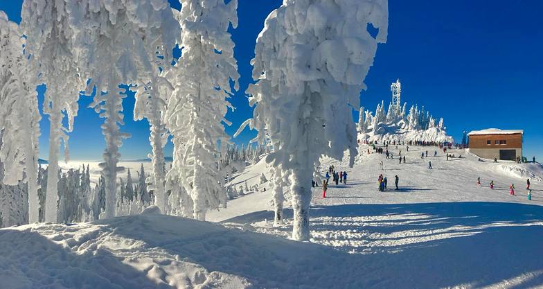 Looking lovely, Poiana Brasov