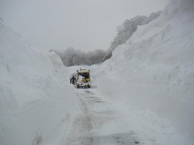 Road to Pilio mountain, Pilion