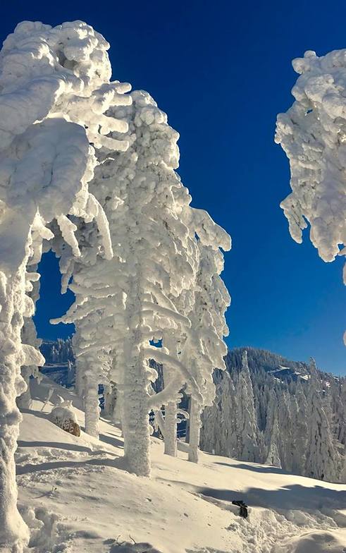 Winter wonderland, Poiana Brasov