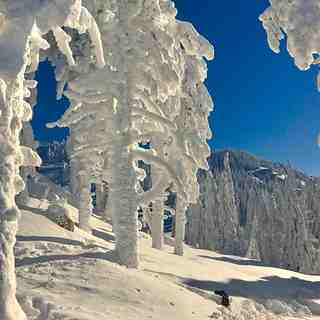 Winter wonderland, Poiana Brasov