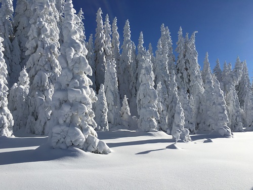 Vitosha Ski Resort by: mirko