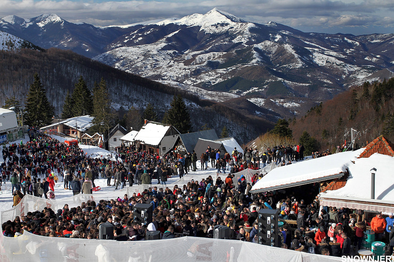 Massive party Brezovica