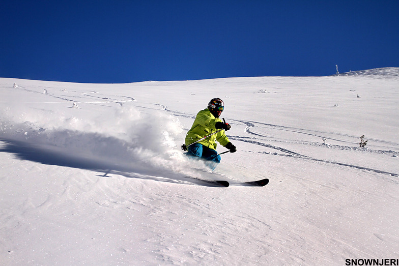 Speedy Mufke, Brezovica