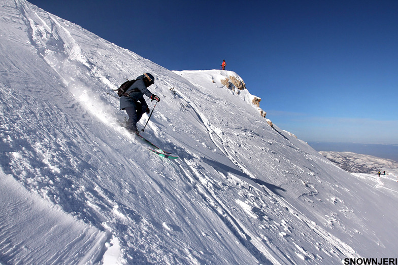 Brave chick, Brezovica