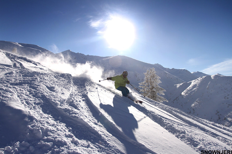 Action Dreni, Brezovica