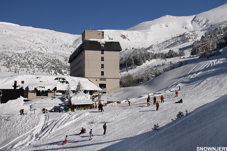 Brezovica