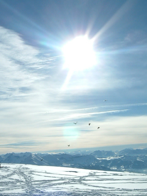 Snow Birds, Flaine