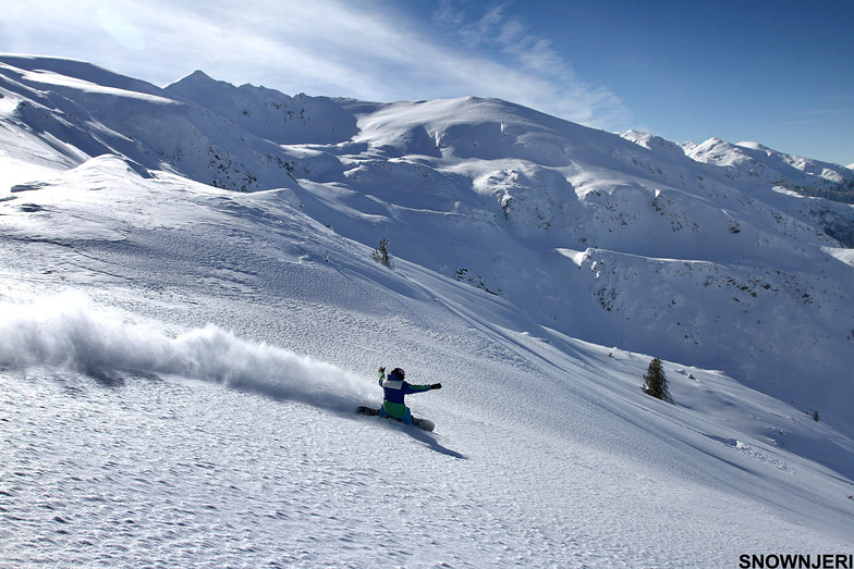 Cutting Potock, Brezovica