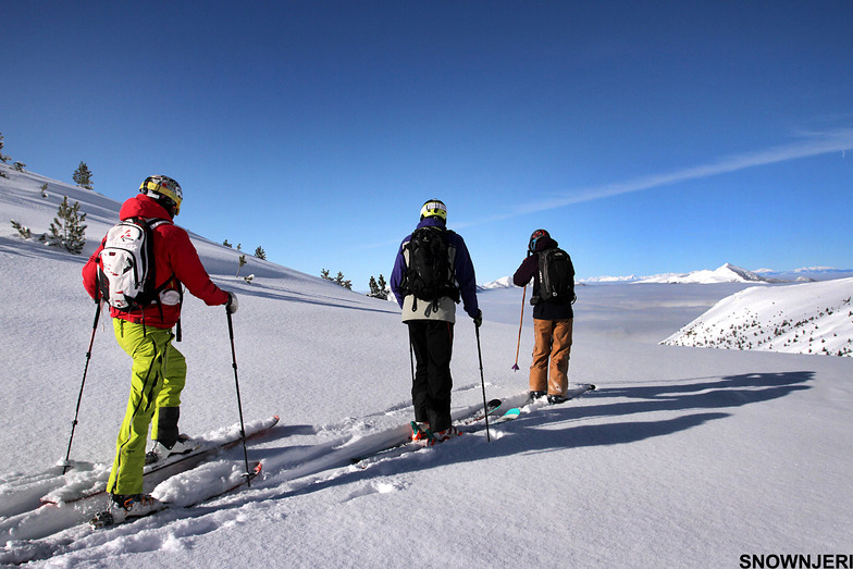 The bunch, Brezovica