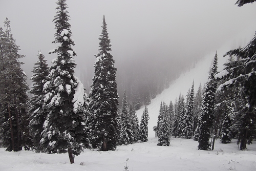 Kimberley Ski Resort by: Doug Parker