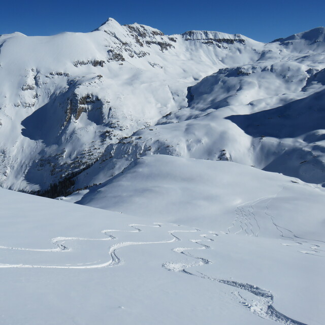 Telluride Backcountry