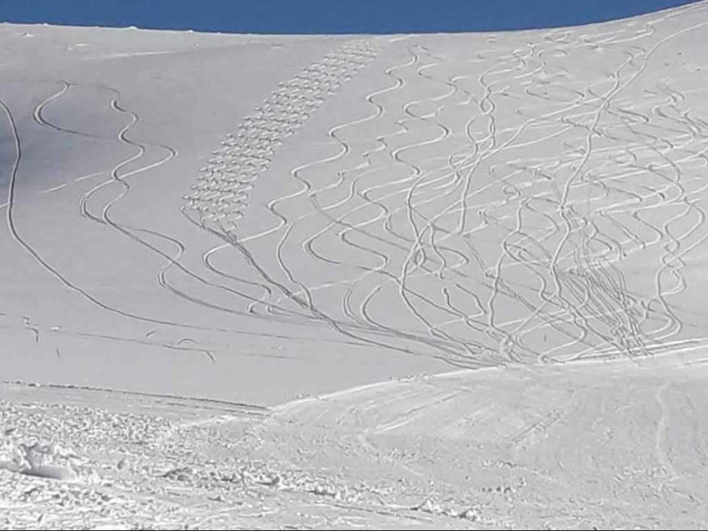 Seli Powder!!