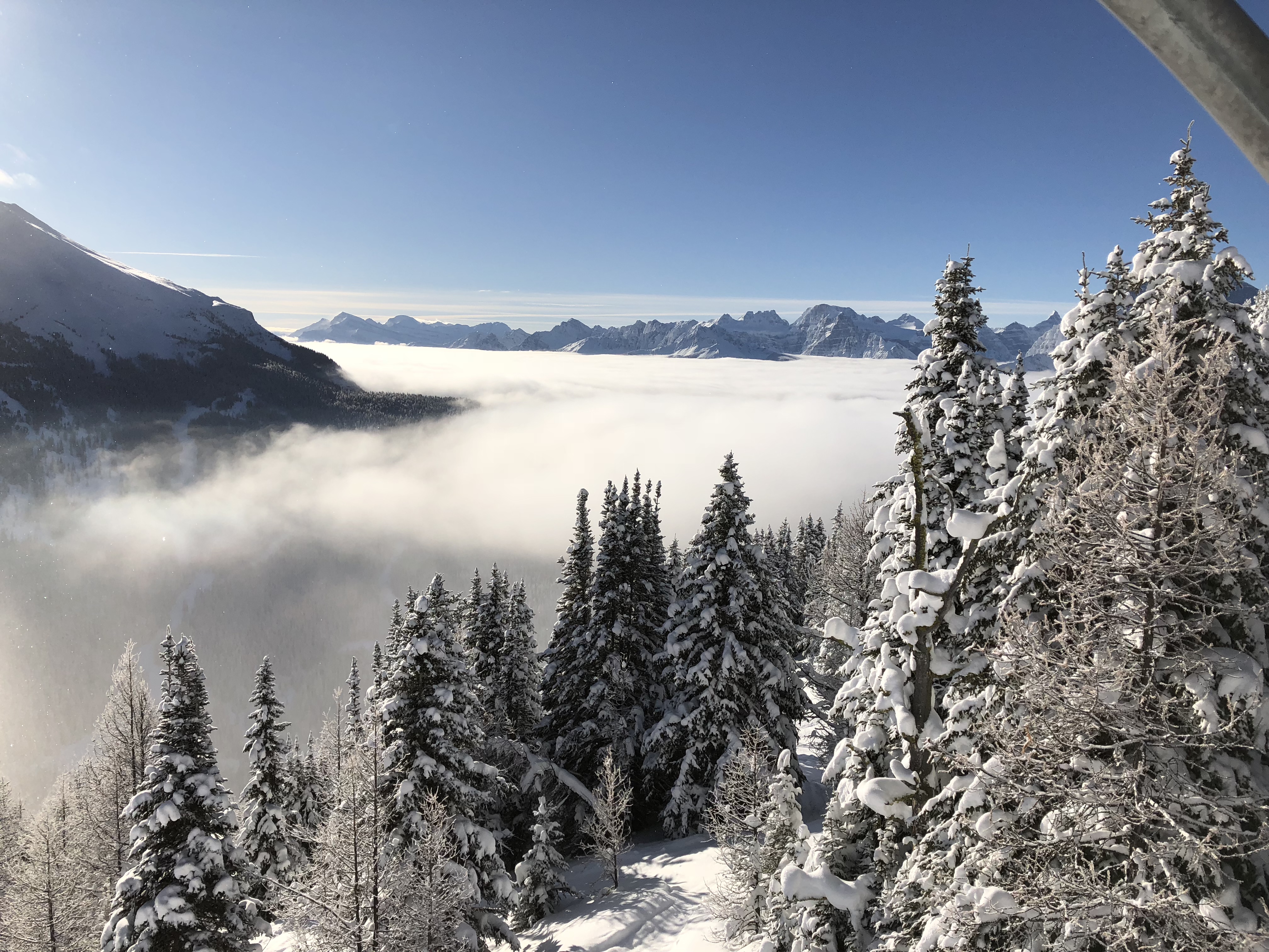 Lake lousie in the morning, Lake Louise