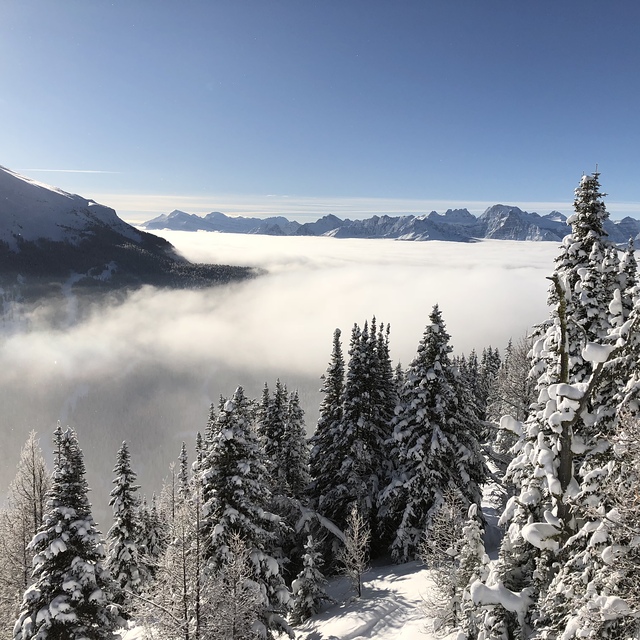 Lake Louise Snow: Lake lousie in the morning