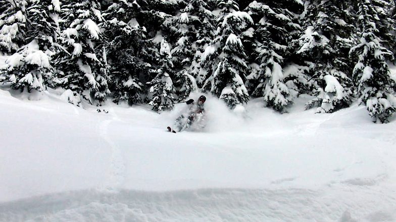 Deep pow in the backcountry, Stevens Pass