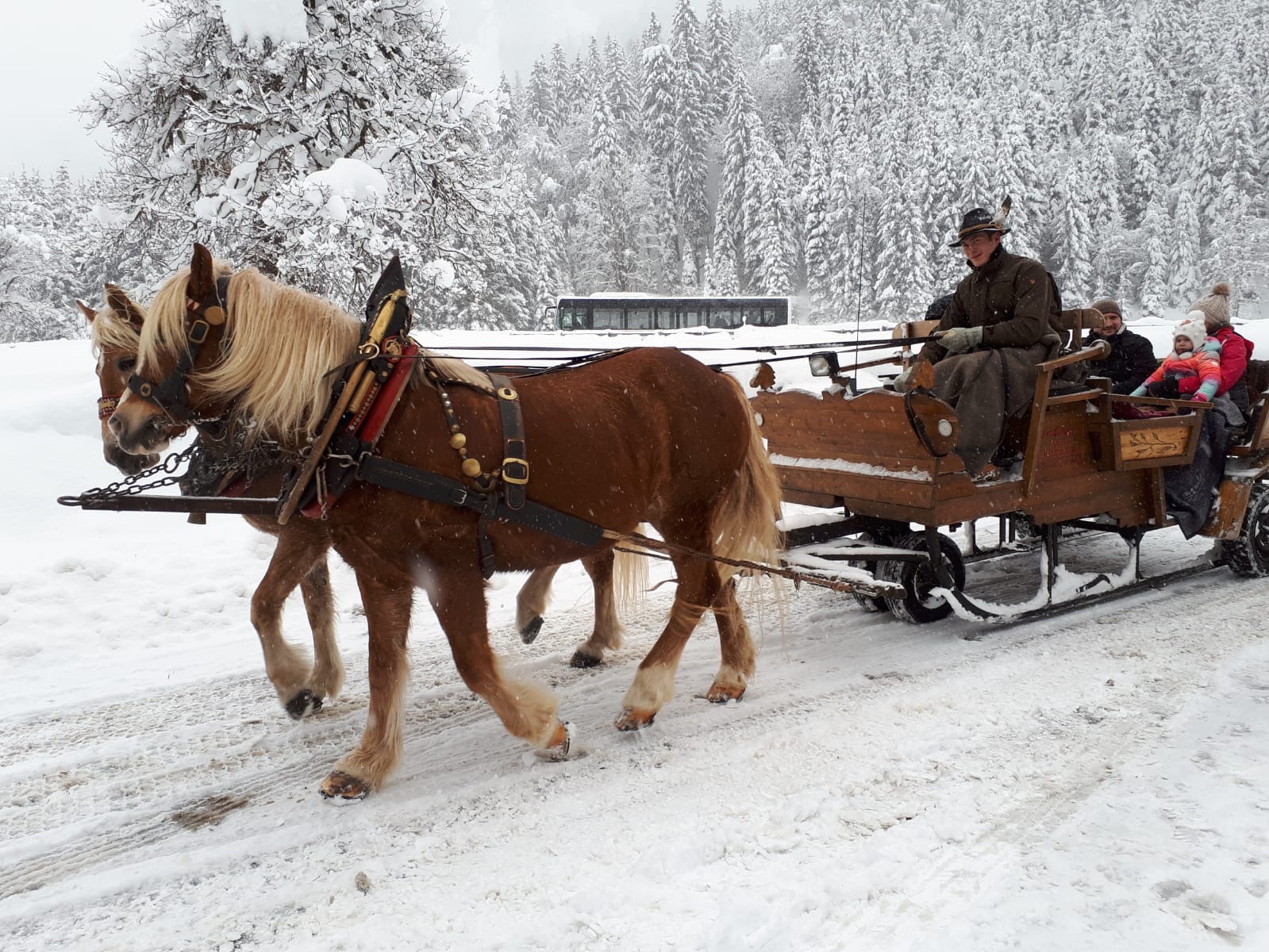 Horse drawn sleigh at Jagersee, Wagrain