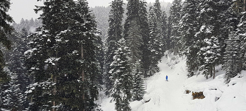 Mestia Ski Resort by: Konstantin RD