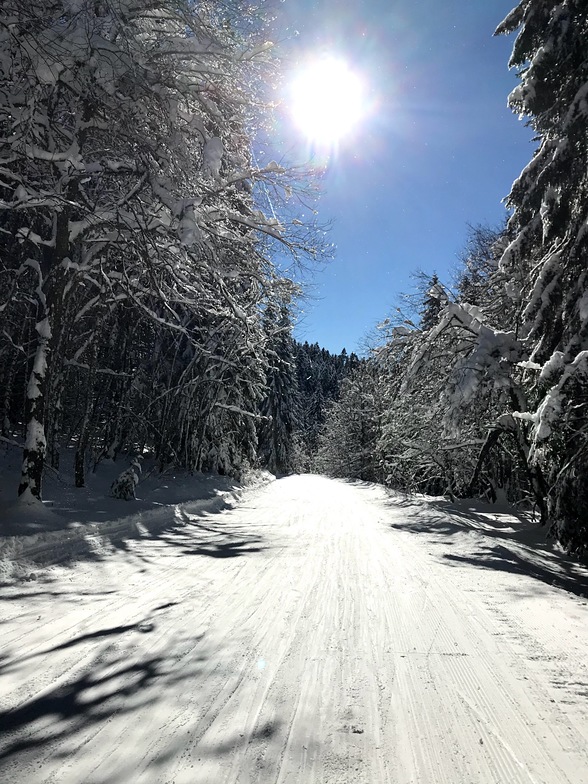 Blue run on perfect bluebird day, Saint Pierre De Chartreuse