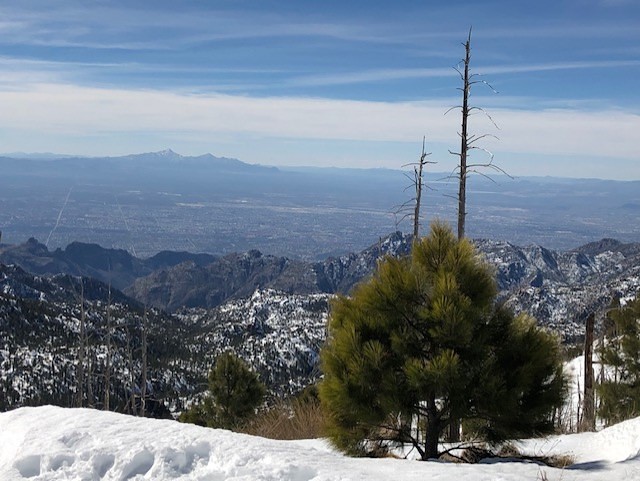 Tucson from top of Mount Lemmon, Mount Lemmon Ski Valley