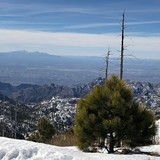 Tucson from top of Mount Lemmon, USA - Arizona