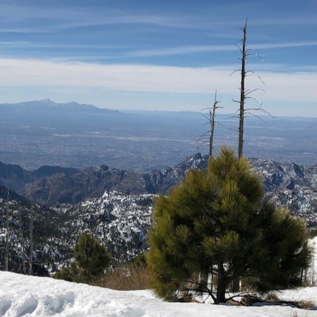 Tucson from top of Mount Lemmon, Mount Lemmon Ski Valley