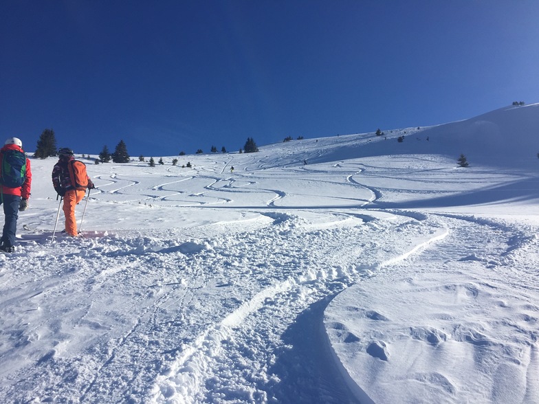 Eskimo Freeride, Popova Shapka