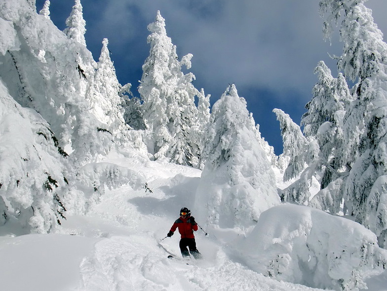 Coming down the backside of Cowboy Mountain, Stevens Pass