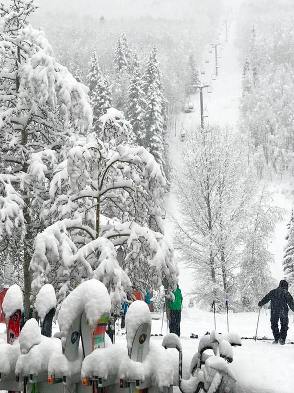 20cm since yesterday, Telluride